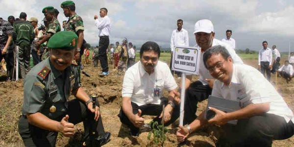 Bank BRI dan TNI AD Tanam Kelor di Perbatasan NKRI–Timor Leste