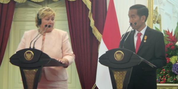 Bertemu PM Norwegia, Jokowi Ingin Lanjutkan REDD Plus