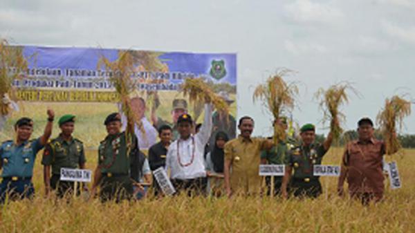 Panglima TNI, Mentan, dan Anggota DPR Panen Raya di Kalimantan Tengah